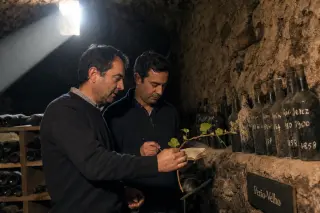 Two Portuguese winemakers in a historic cellar examining old wine bottles and grapevine cutting, under soft natural light.