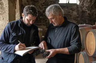 Two vintners examining grape clusters by soft natural light in a rustic Rhône Valley wine cellar, surrounded by barrels and field notes, conveying authentic viticultural expertise.