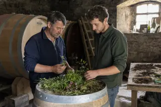 Two vintners in an Alsace wine cellar examine biodiversity samples by a barrel, natural light from a window creating an authentic, contemplative mood.